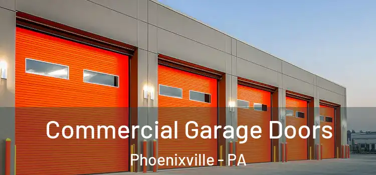  Commercial Garage Doors Phoenixville - PA