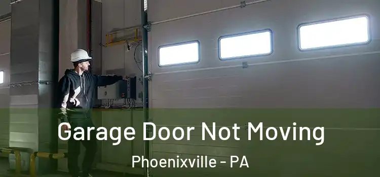 Garage Door Not Moving Phoenixville - PA