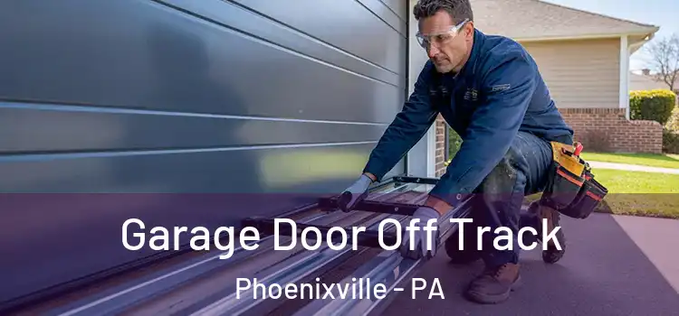  Garage Door Off Track Phoenixville - PA