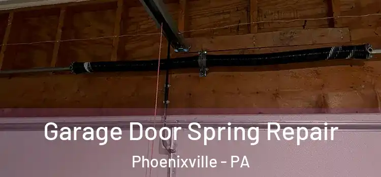  Garage Door Spring Repair Phoenixville - PA