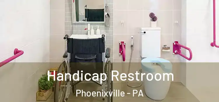  Handicap Restroom Phoenixville - PA
