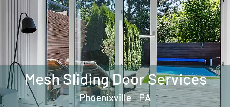  Mesh Sliding Door Services Phoenixville - PA